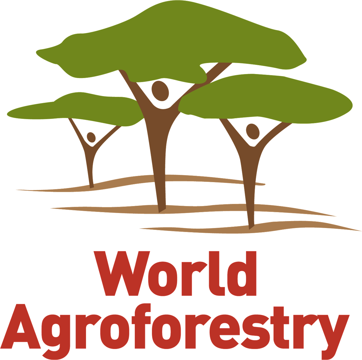 TỔNG KẾT SỰ KIỆN TẬP HUẤN VỀ DỊCH VỤ KHÍ HẬU NÔNG NGHIỆP TẠI LÀO CAI